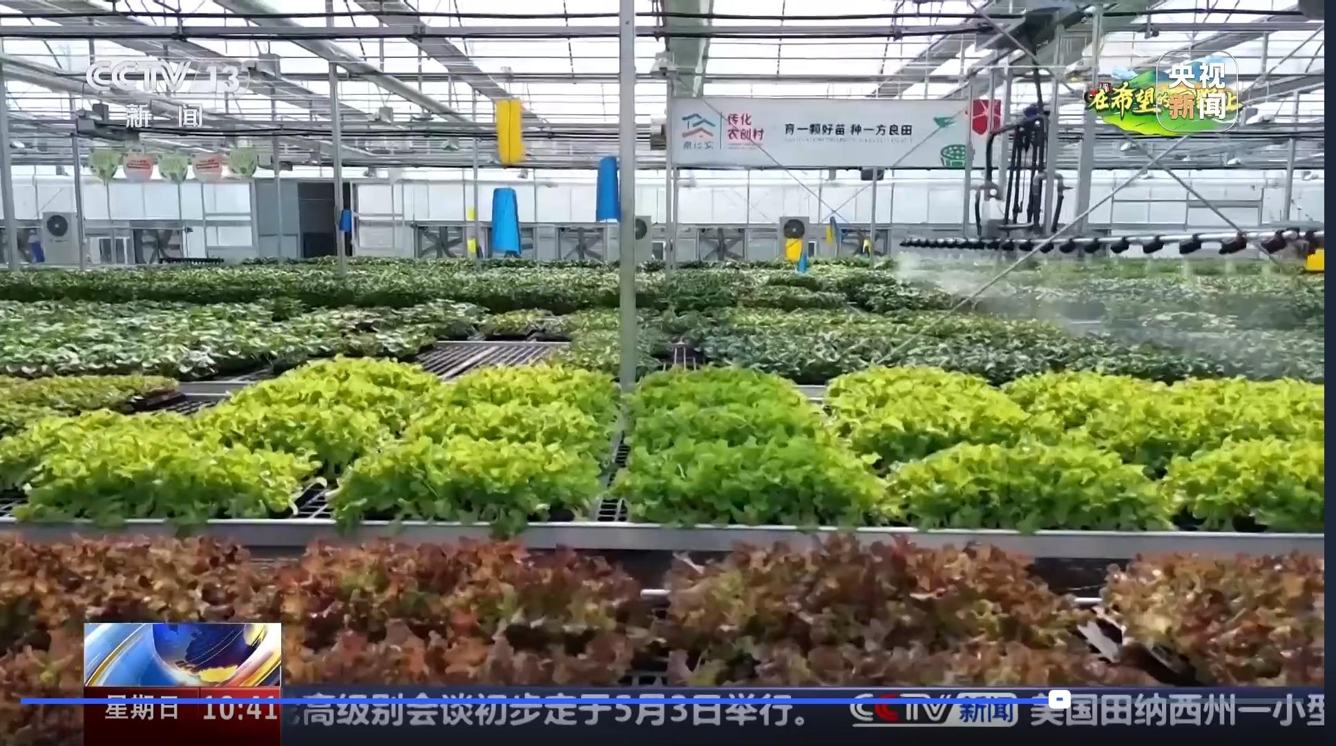 數字種苗工廠.jpg